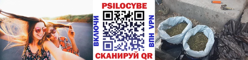 где купить Когалым Псилоцибиновые грибы MAGIC MUSHROOMS