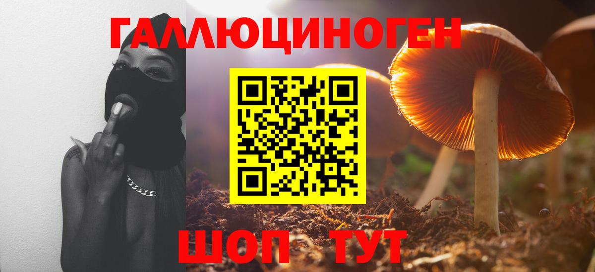 Когалым  Псилоцибиновые грибы GOLDEN TEACHER  Галлюциногенные грибы мицелий  Вход с VPN 